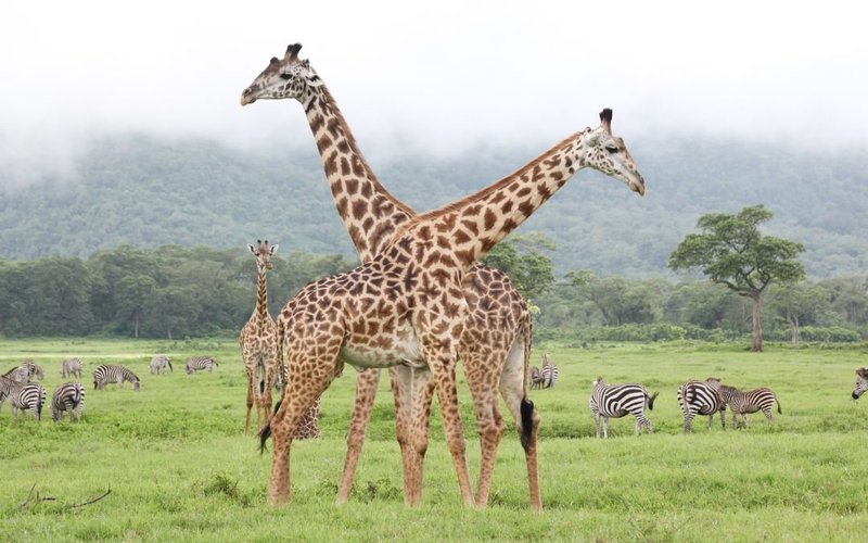 Arusha National Park, Mount Meru and Momella Lakes
