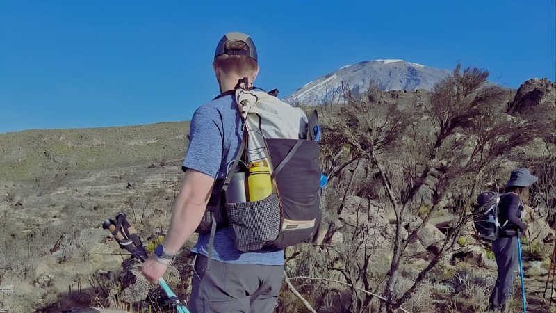 Lemosho Route, lush rainforest and Shira Plateau, Kilimanjaro