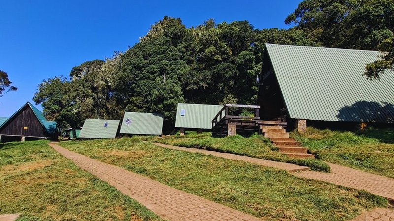 Marangu Route, mountain huts and forest trail on Kilimanjaro